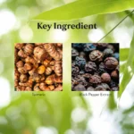 Turmeric Curcumin - Image 7