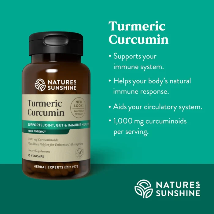 Turmeric Curcumin - Image 4
